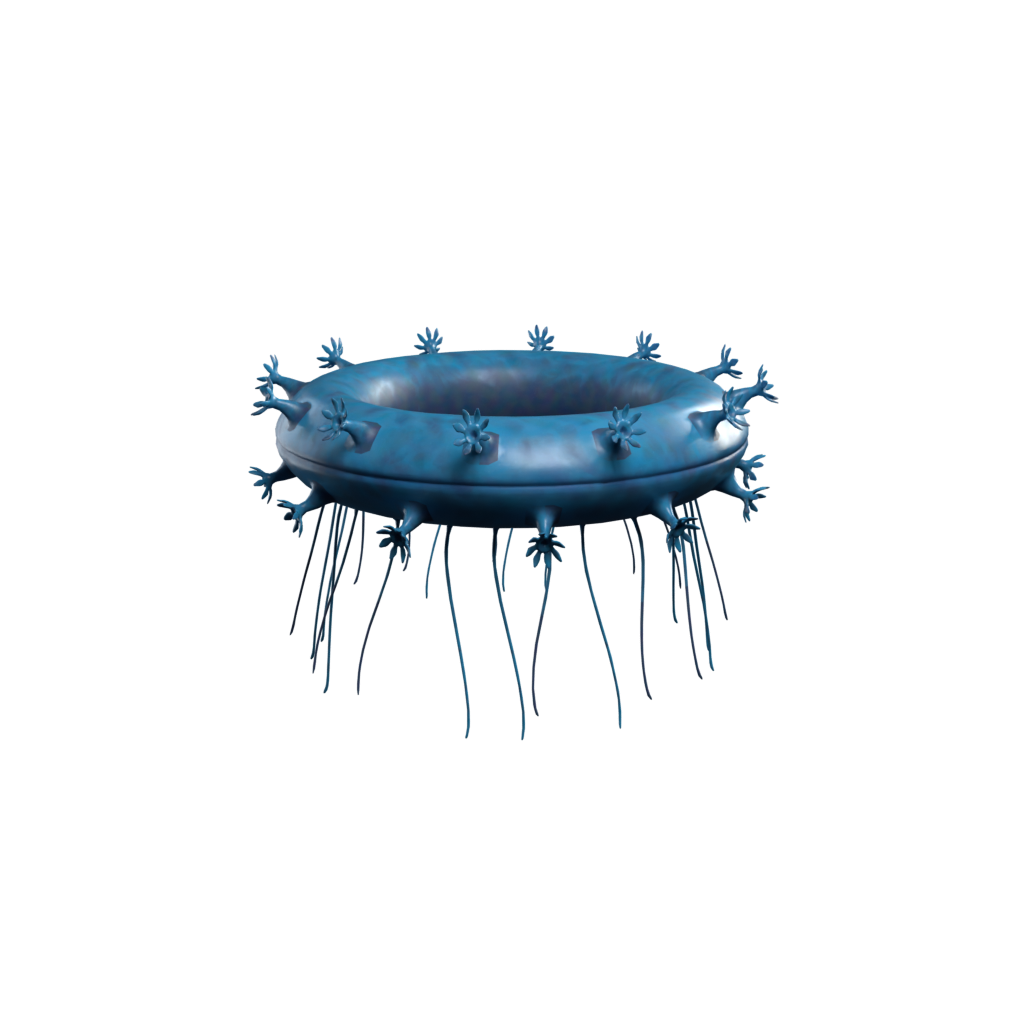 Jelly Ring render