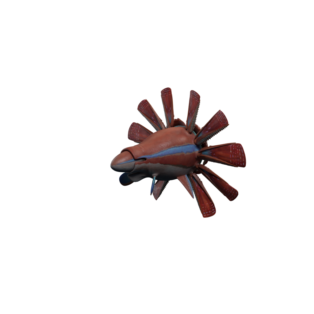 Hammerhead render