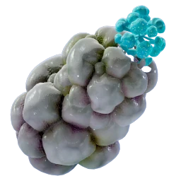 Bloom Sap icon