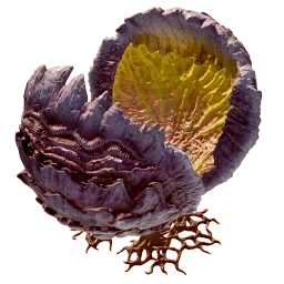 Bloom Canker (Clamthulu) icon