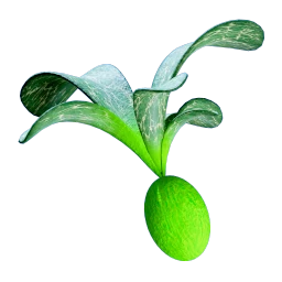Farmable Cherimoya Rotsac icon