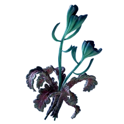 Freesia Flower icon